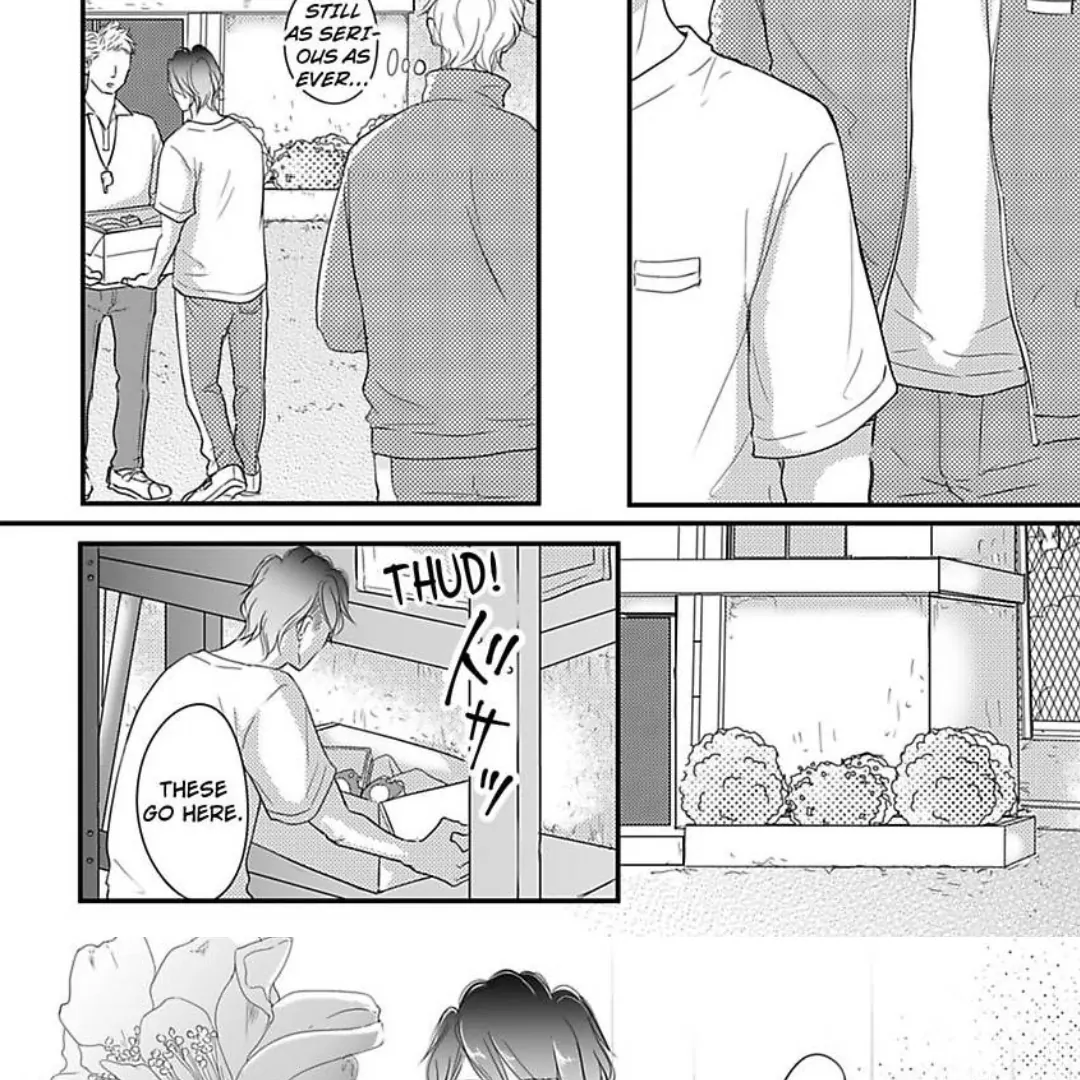 Omega Porn - Chapter 31 manhwa