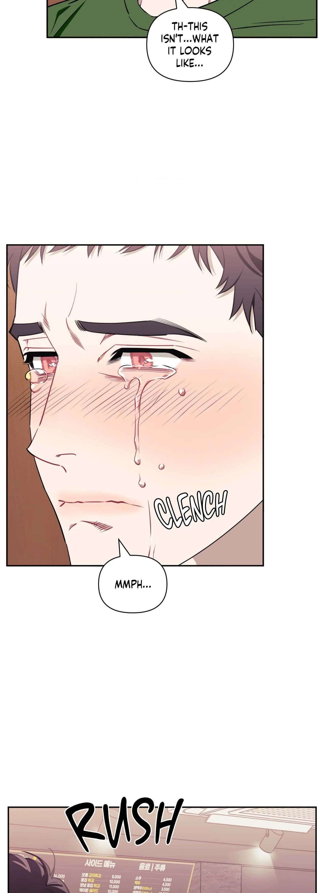 Stranger Than Friends - Side Story : About the Boss (13) manhwa