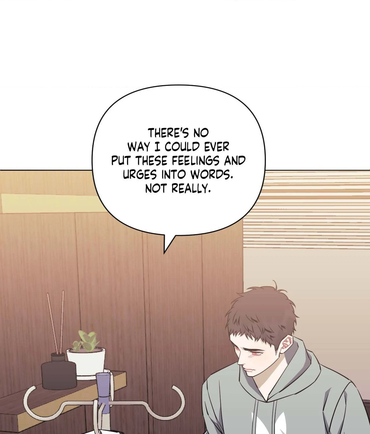 Stranger Than Friends - Side Story : About the Boss (16) manhwa
