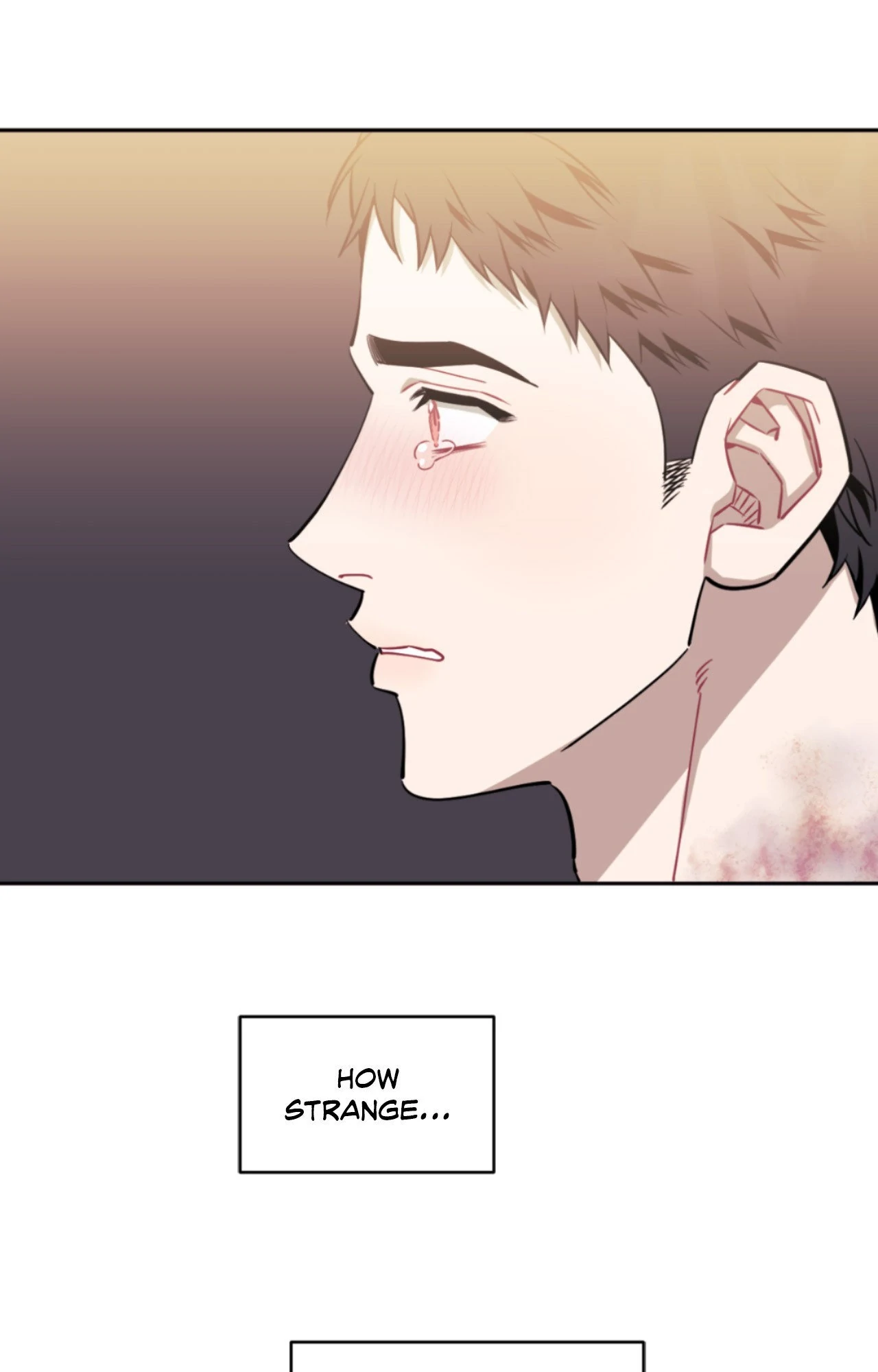 Stranger Than Friends - Side Story : About the Boss (7) manhwa