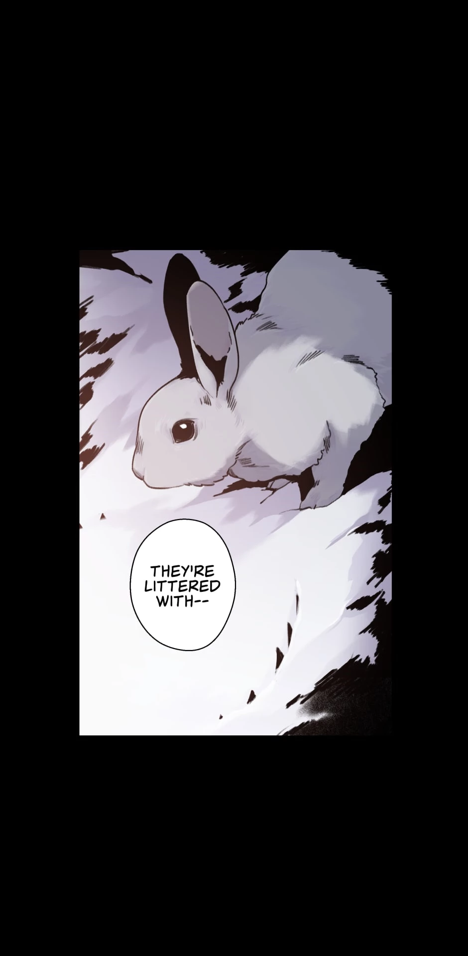 Sharpe & Rabbit (Official) - Chapter 36 manhwa