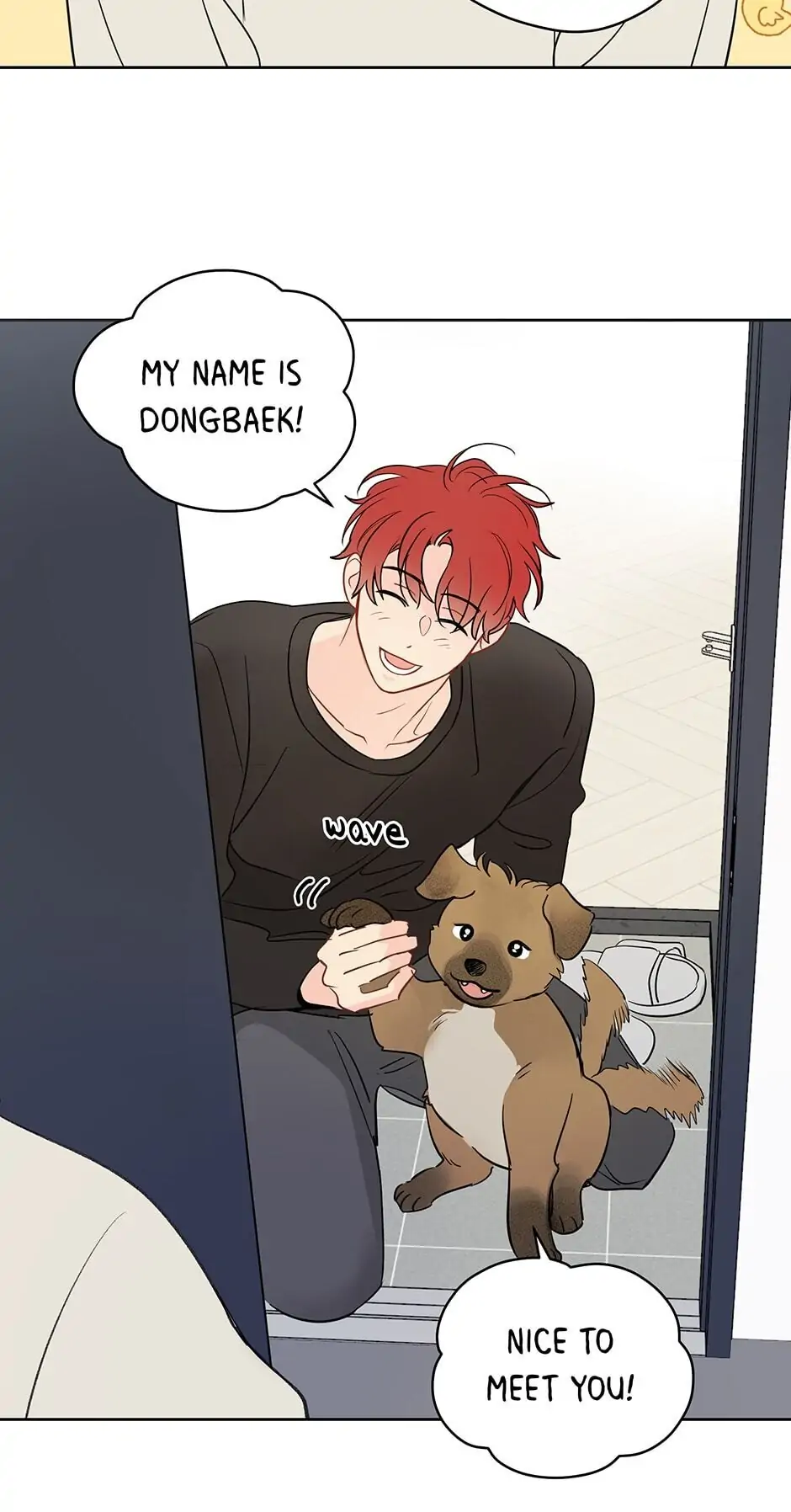 It’s Just a Dream…Right?! - Chapter 41 manhwa