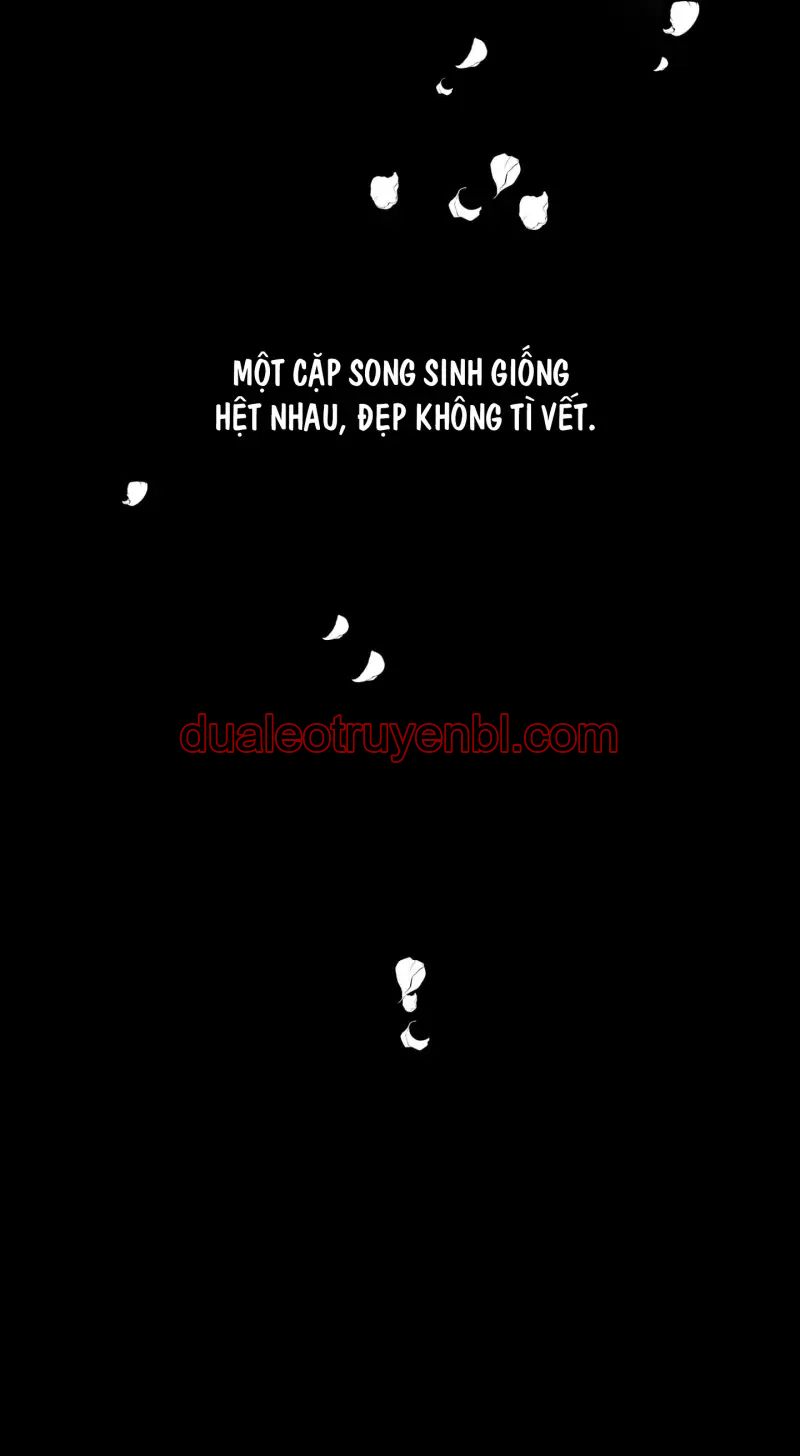 ÁNH MẮT LẠC NHỊP - Chapter 1 manhwa