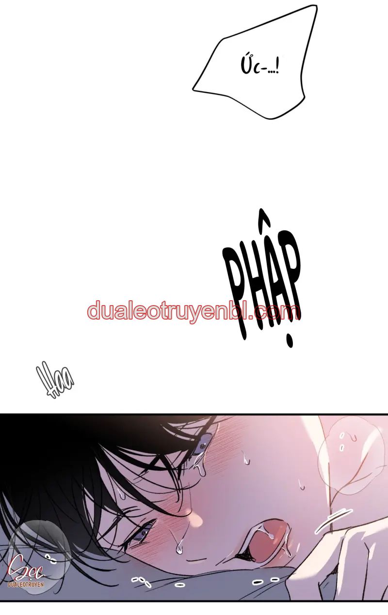 ÁNH MẮT LẠC NHỊP - Chapter 2_3 manhwa