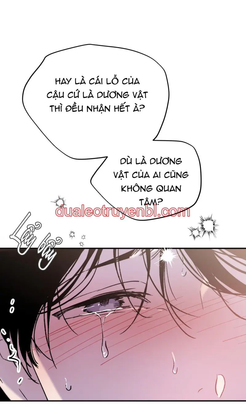 ÁNH MẮT LẠC NHỊP - Chapter 2_3 manhwa