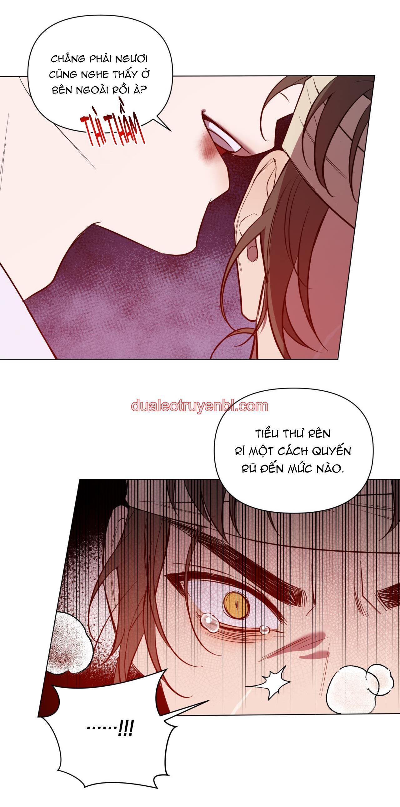 BL CỔ TRANG-ÂU CỔ NGẮN NHÀ KIM - Chapter 35.3 Bản tình ca 3_2 manhwa