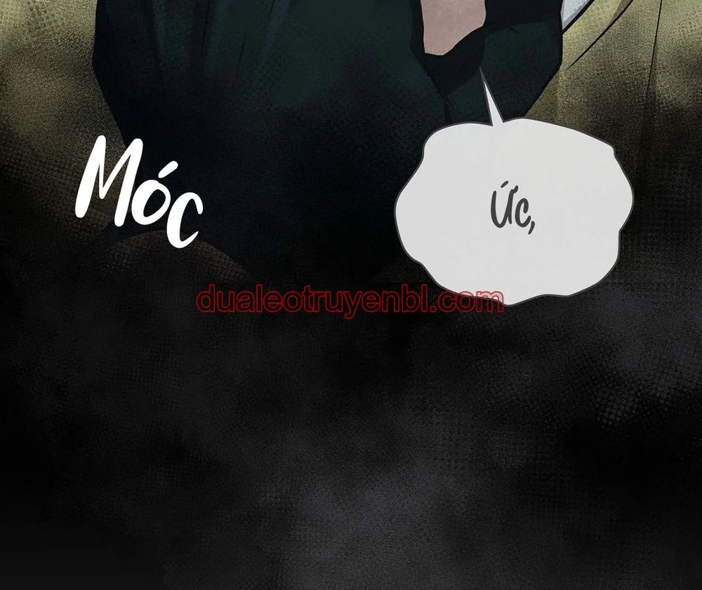 Dù Không Phải Guide Định Mệnh Của Cậu - Chapter 31 manhwa