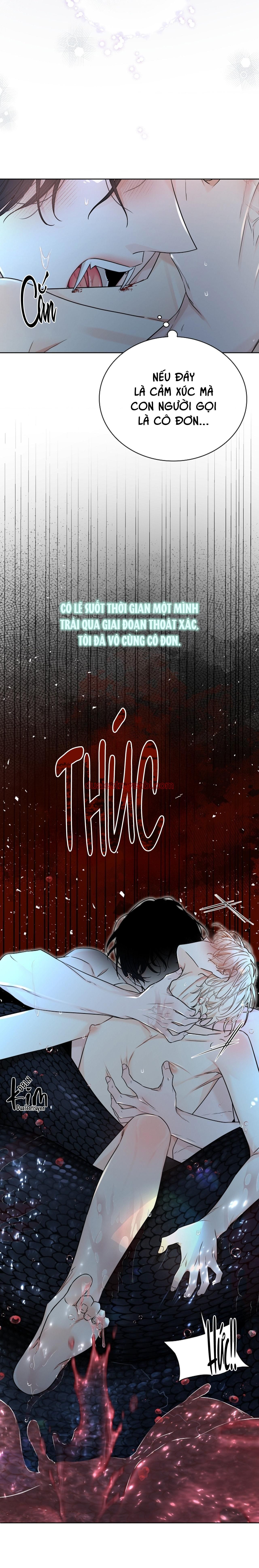 HANG RẮN - Chapter 13 manhwa