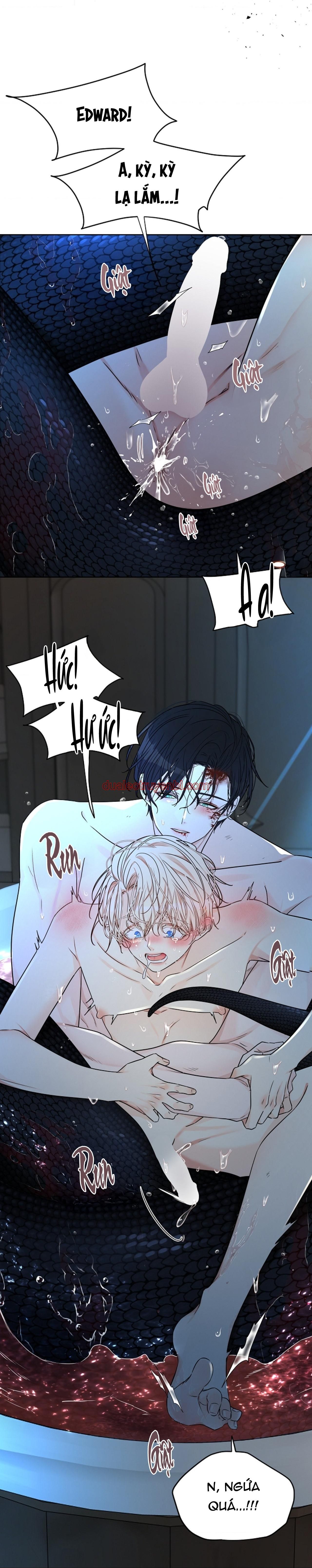 HANG RẮN - Chapter 13 manhwa