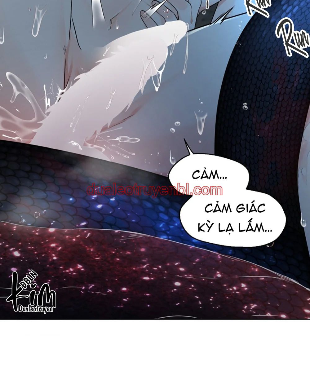 HANG RẮN - Chapter 14 manhwa