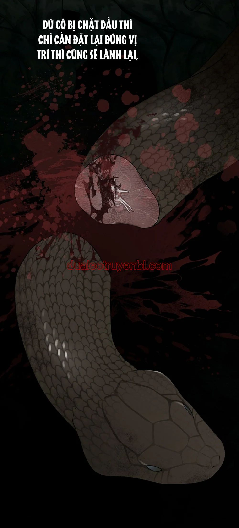 HANG RẮN - Chapter 15 manhwa