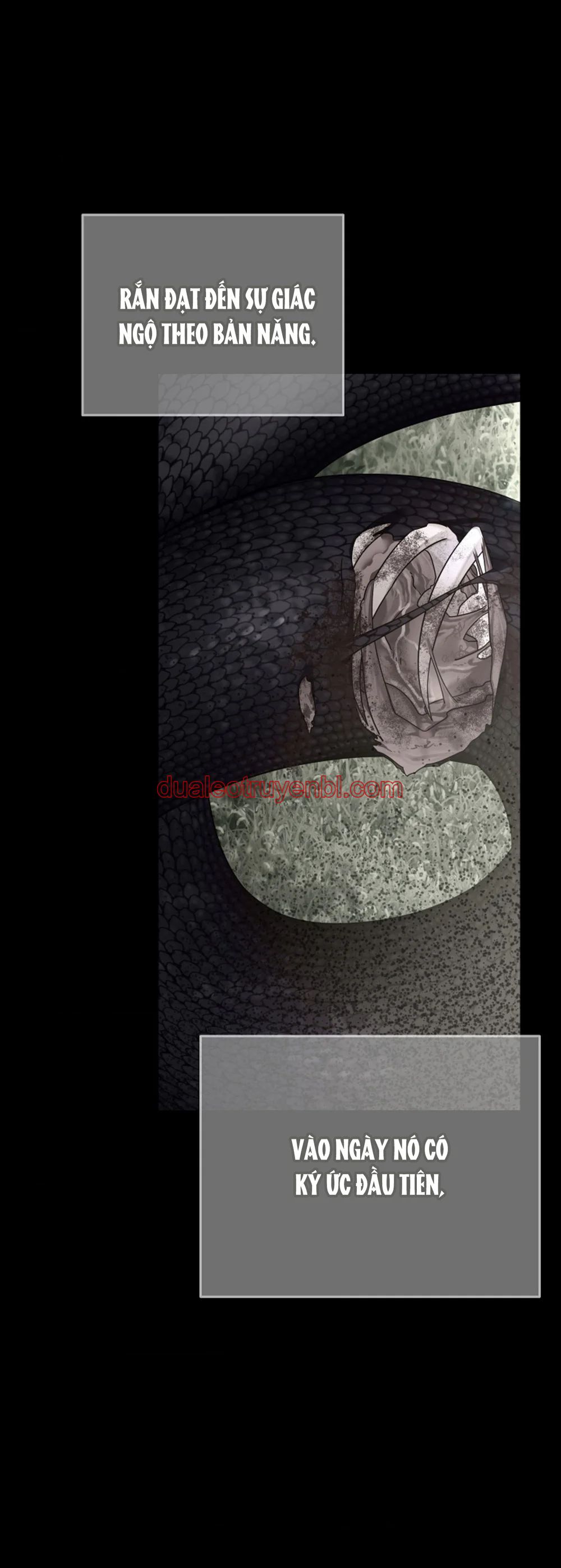 HANG RẮN - Chapter 15 manhwa