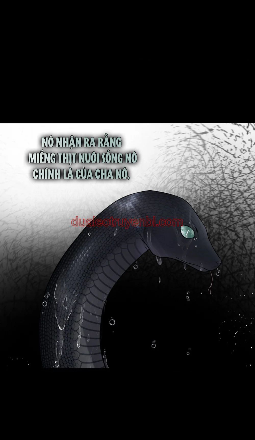 HANG RẮN - Chapter 15 manhwa