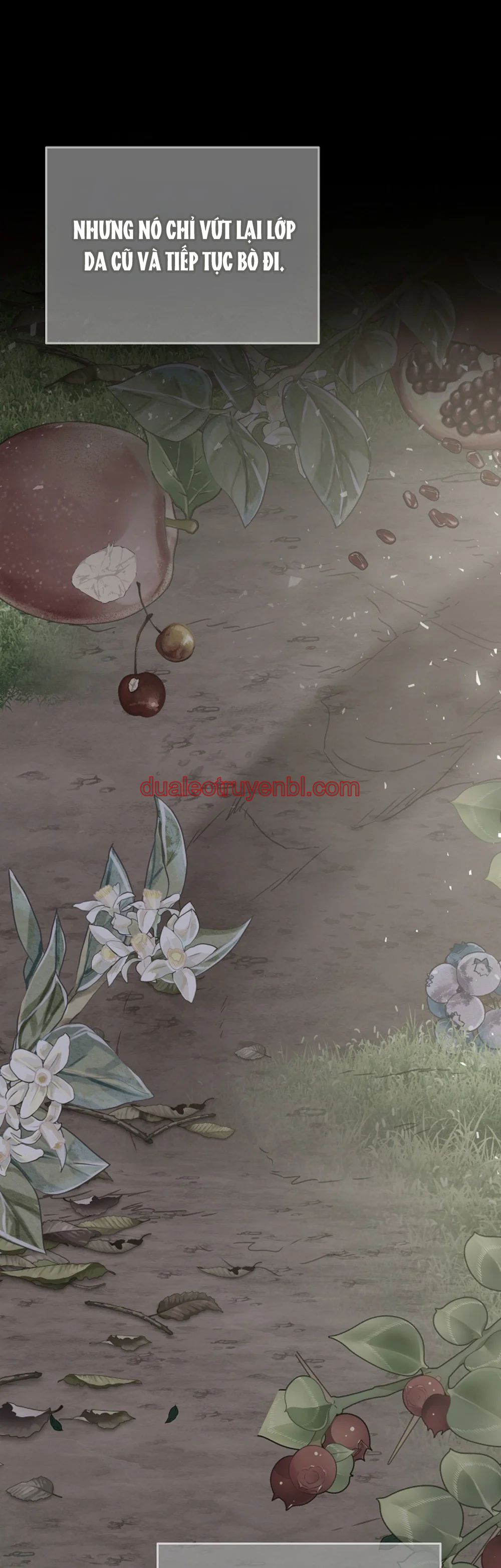 HANG RẮN - Chapter 15 manhwa