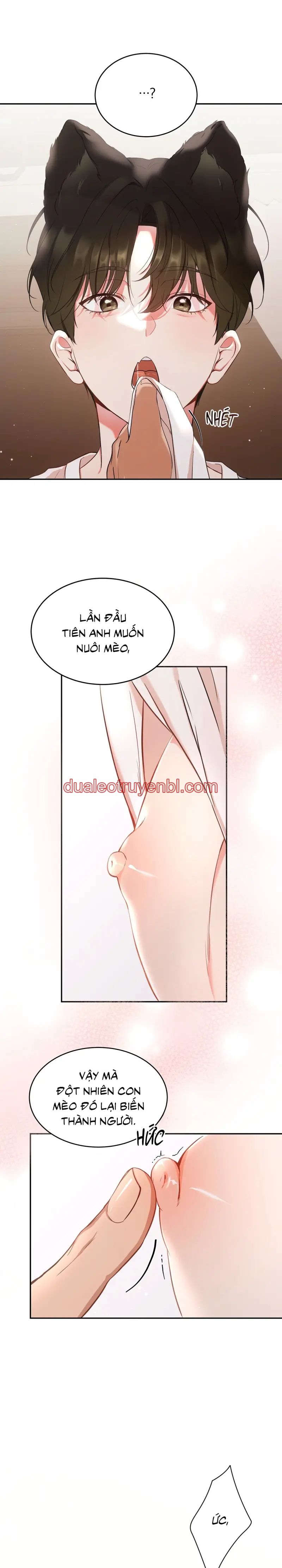 LIỆU PHÁP TRỊ LIỆU MÈO - Chapter 1 manhwa