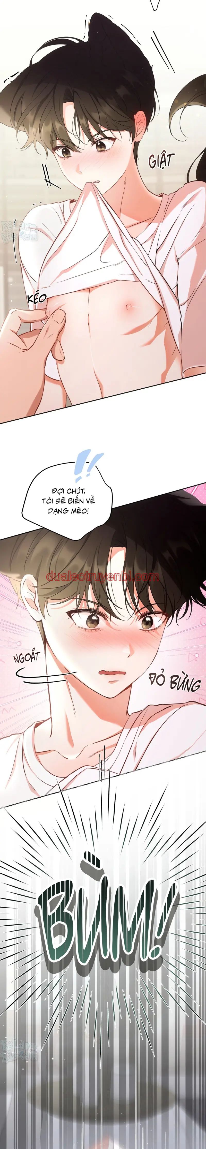 LIỆU PHÁP TRỊ LIỆU MÈO - Chapter 1 manhwa