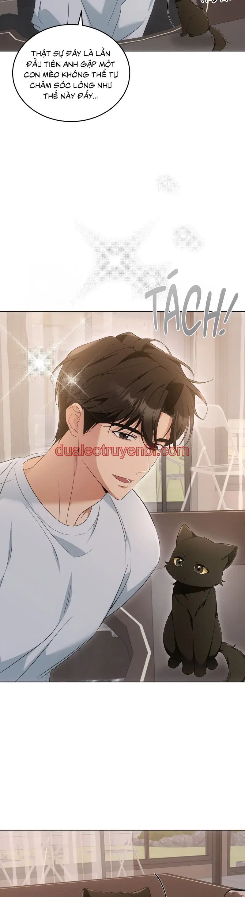 LIỆU PHÁP TRỊ LIỆU MÈO - Chapter 10_2 manhwa