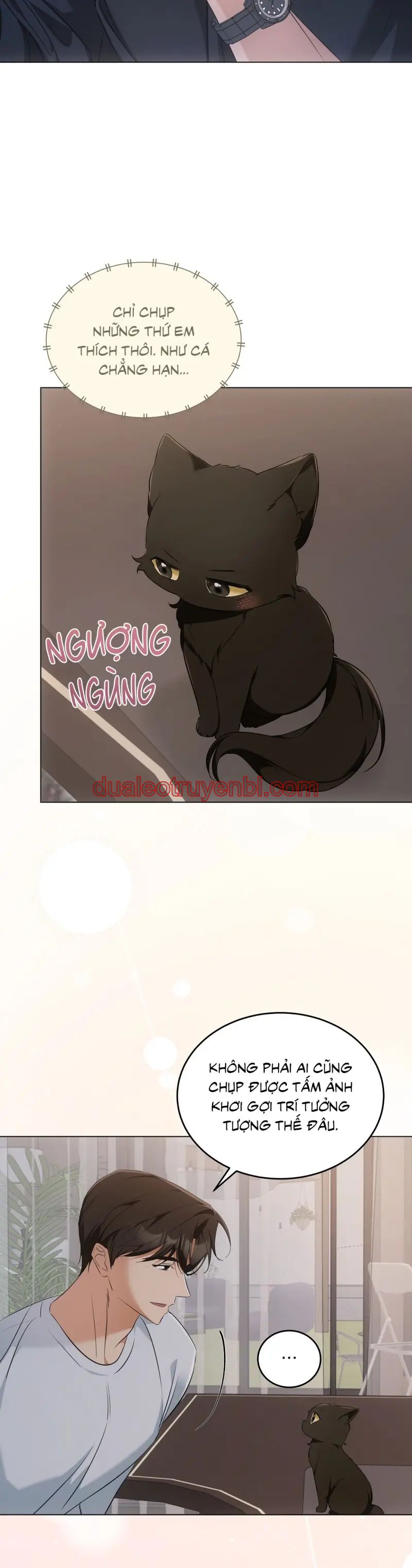 LIỆU PHÁP TRỊ LIỆU MÈO - Chapter 10_2 manhwa