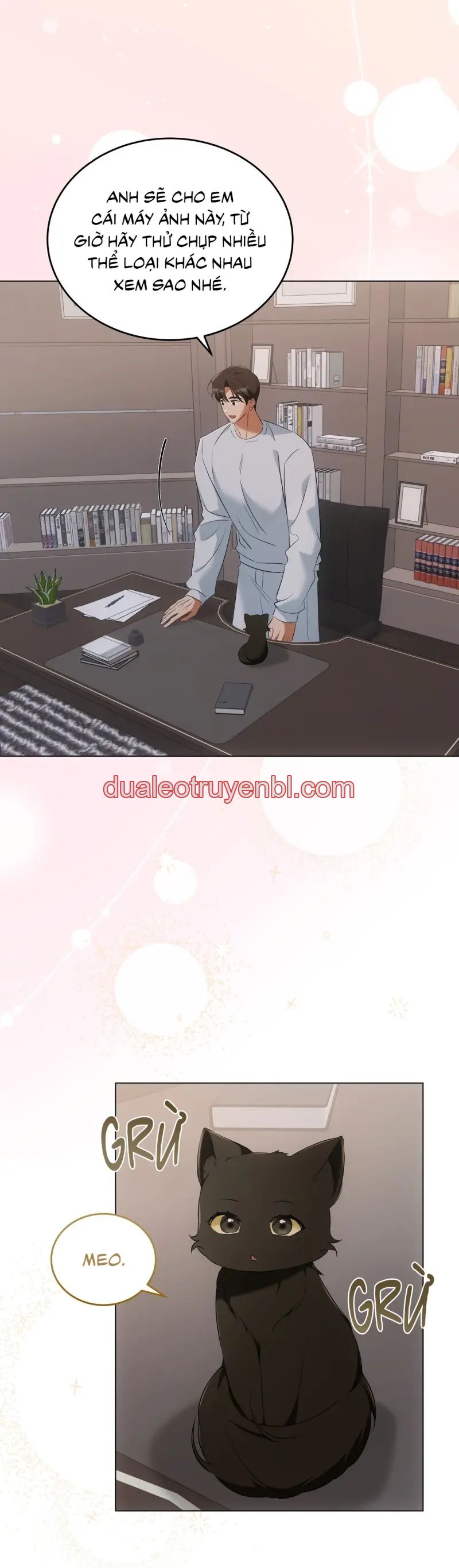 LIỆU PHÁP TRỊ LIỆU MÈO - Chapter 10_2 manhwa