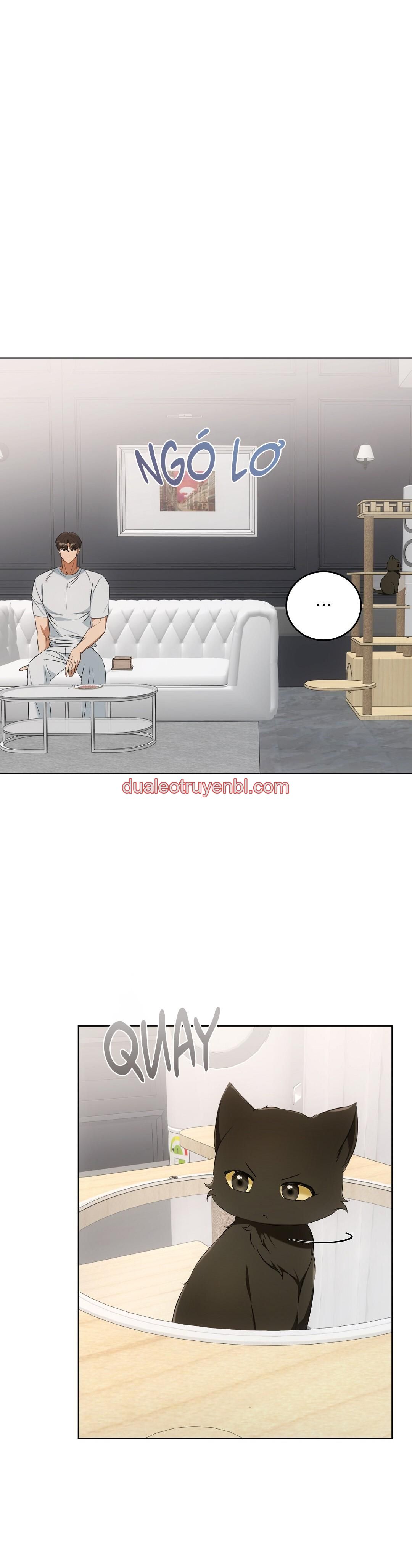 LIỆU PHÁP TRỊ LIỆU MÈO - Chapter 11 manhwa