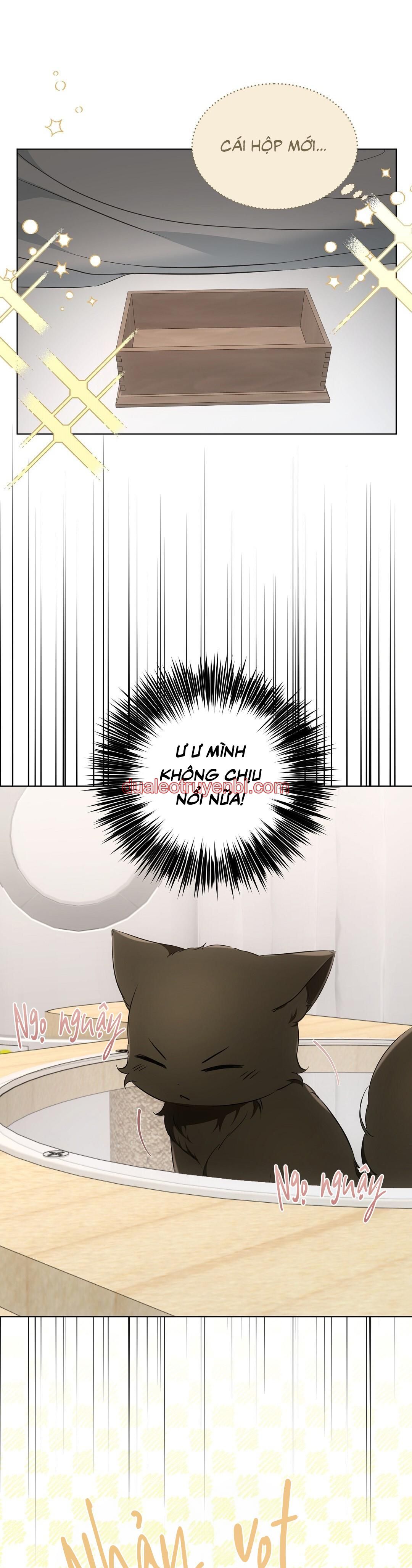 LIỆU PHÁP TRỊ LIỆU MÈO - Chapter 11 manhwa