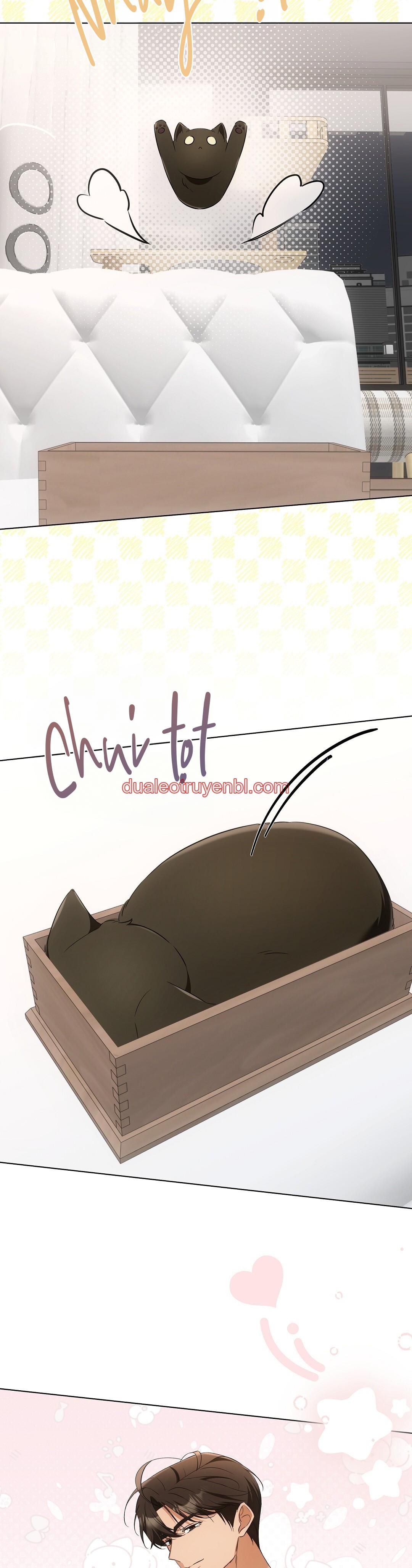 LIỆU PHÁP TRỊ LIỆU MÈO - Chapter 11 manhwa