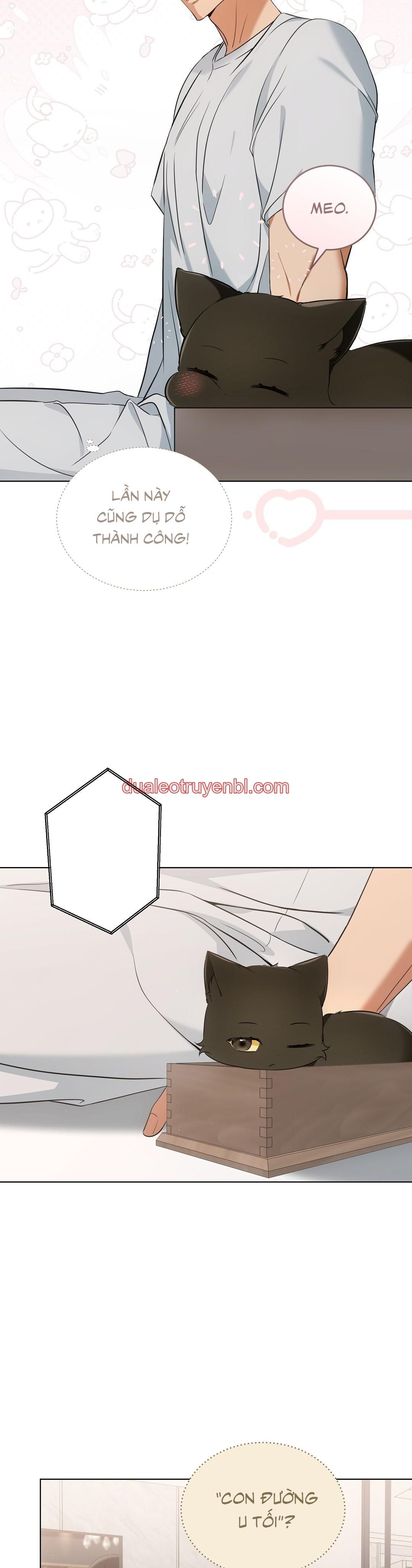 LIỆU PHÁP TRỊ LIỆU MÈO - Chapter 11 manhwa