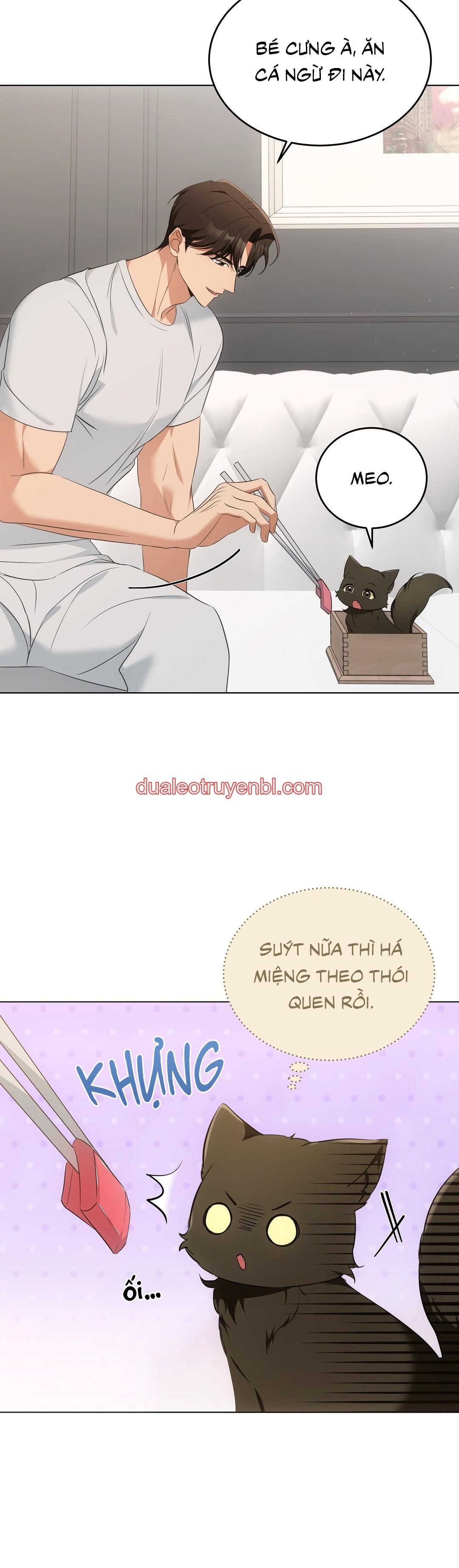 LIỆU PHÁP TRỊ LIỆU MÈO - Chapter 11 manhwa