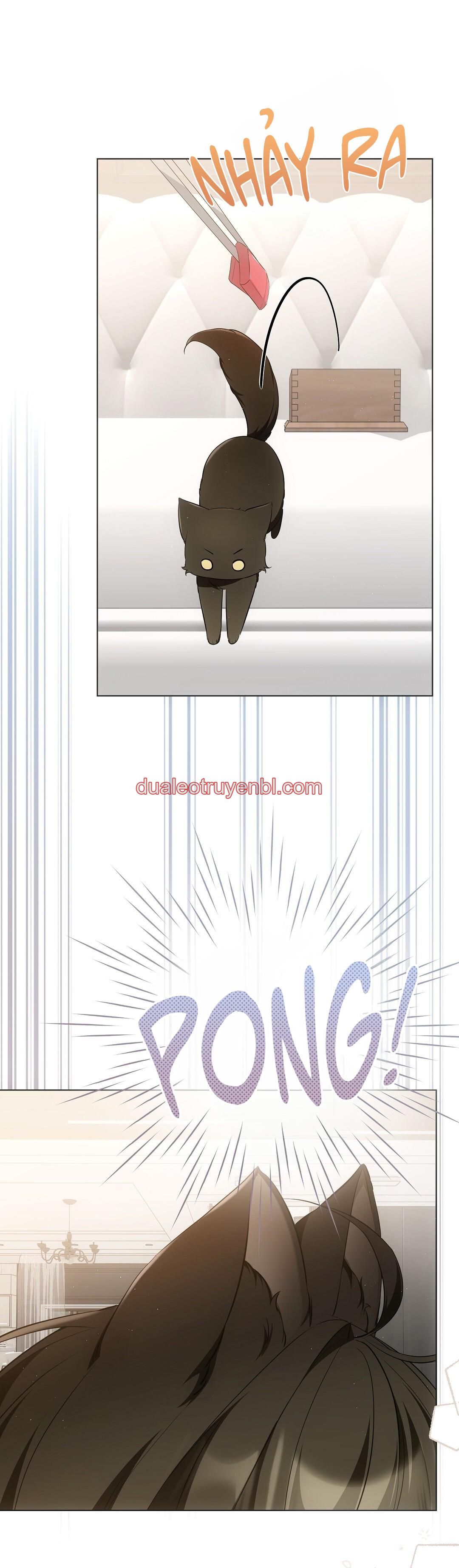 LIỆU PHÁP TRỊ LIỆU MÈO - Chapter 11 manhwa