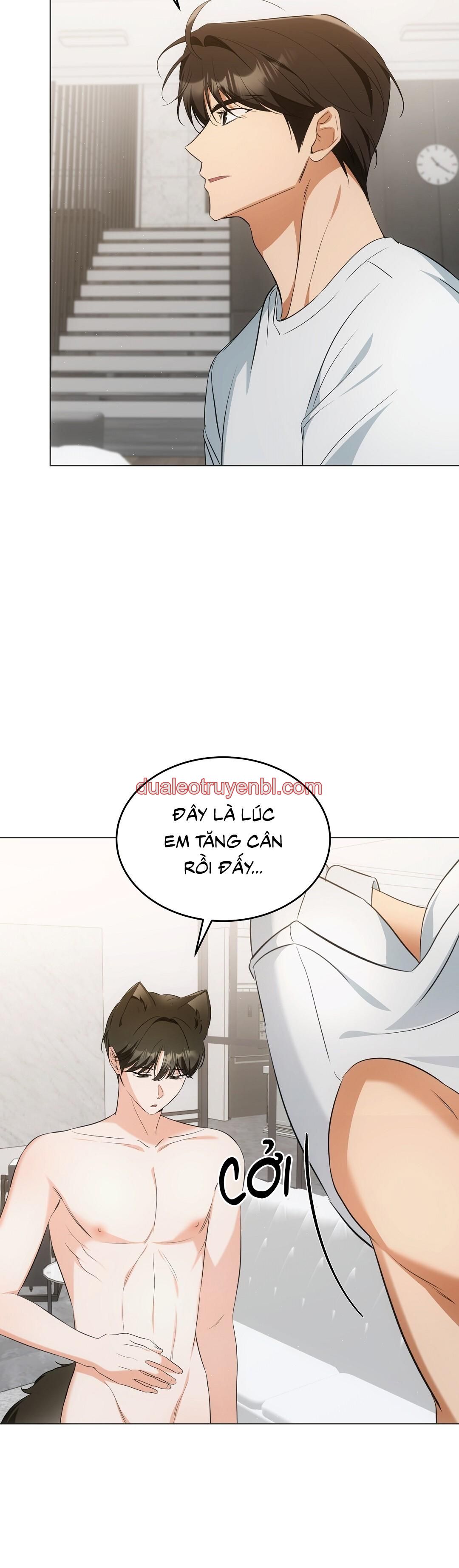 LIỆU PHÁP TRỊ LIỆU MÈO - Chapter 11 manhwa
