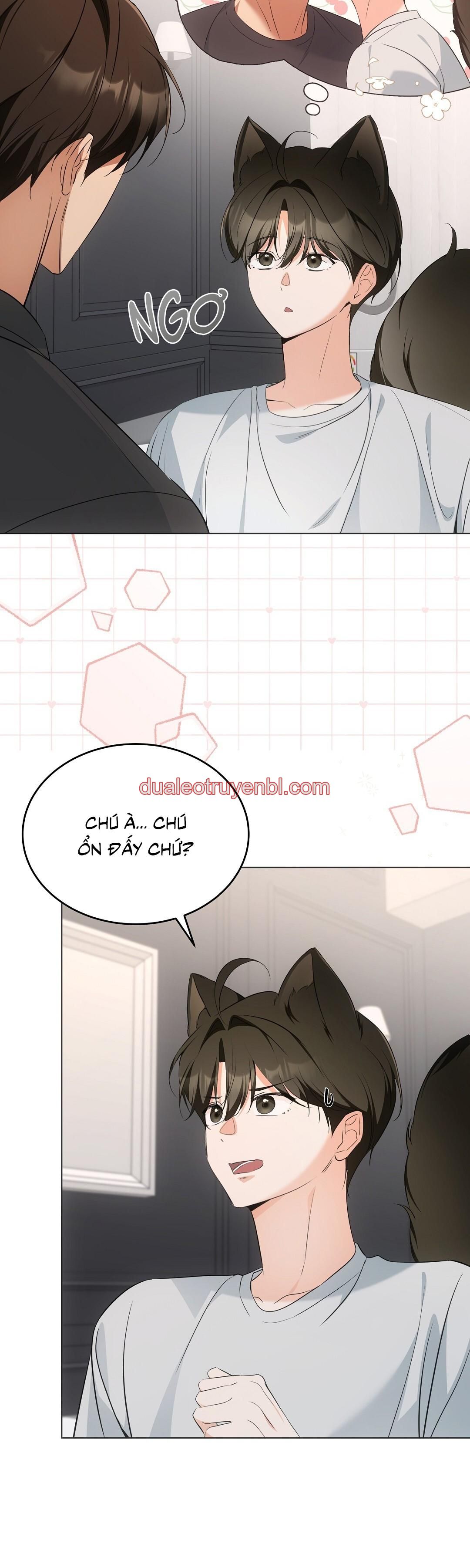 LIỆU PHÁP TRỊ LIỆU MÈO - Chapter 11_2 manhwa