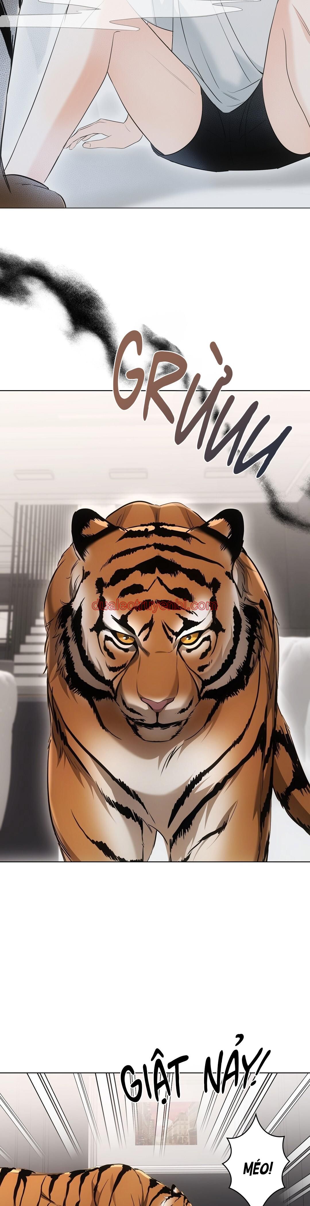 LIỆU PHÁP TRỊ LIỆU MÈO - Chapter 11_3 manhwa