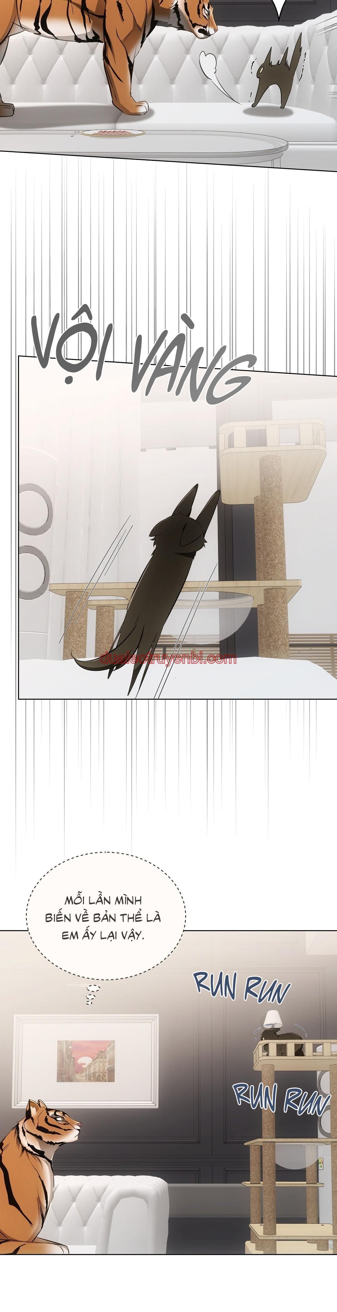 LIỆU PHÁP TRỊ LIỆU MÈO - Chapter 11_3 manhwa