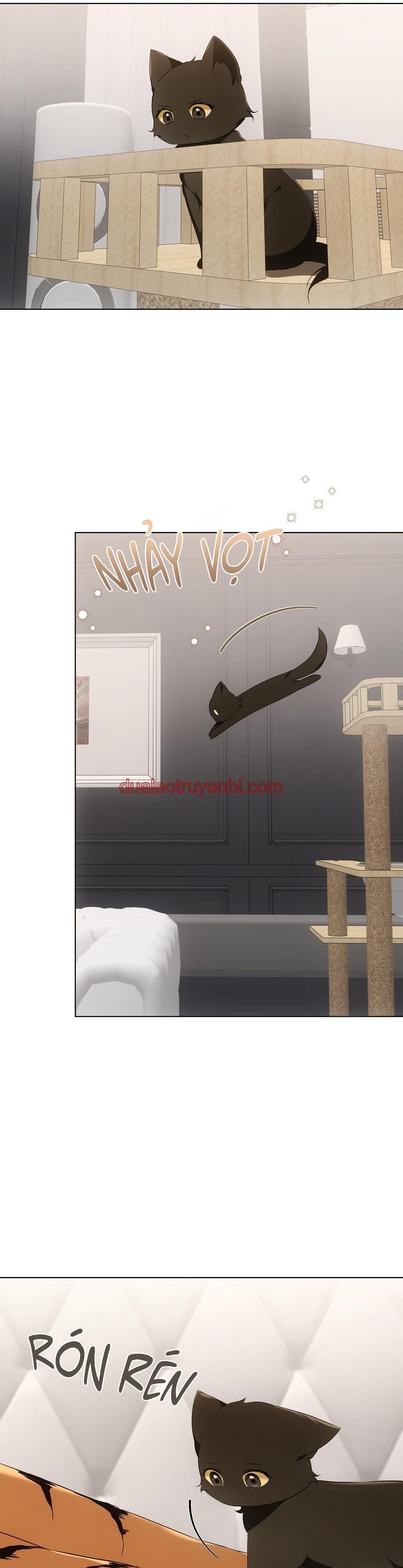 LIỆU PHÁP TRỊ LIỆU MÈO - Chapter 11_3 manhwa