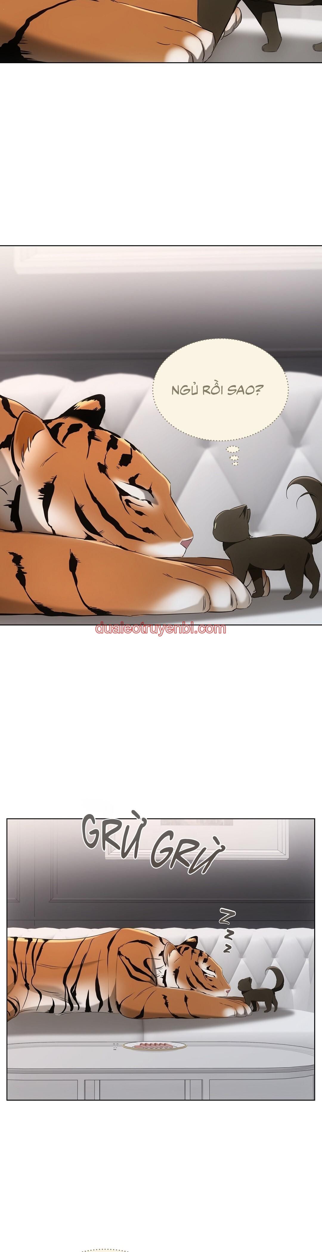 LIỆU PHÁP TRỊ LIỆU MÈO - Chapter 11_3 manhwa