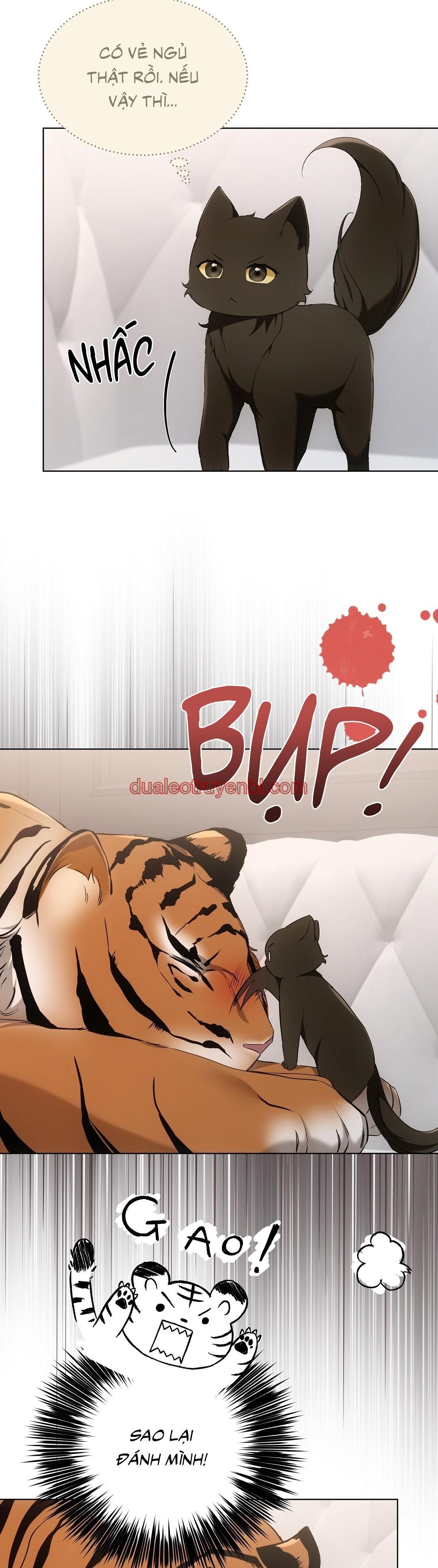 LIỆU PHÁP TRỊ LIỆU MÈO - Chapter 11_3 manhwa