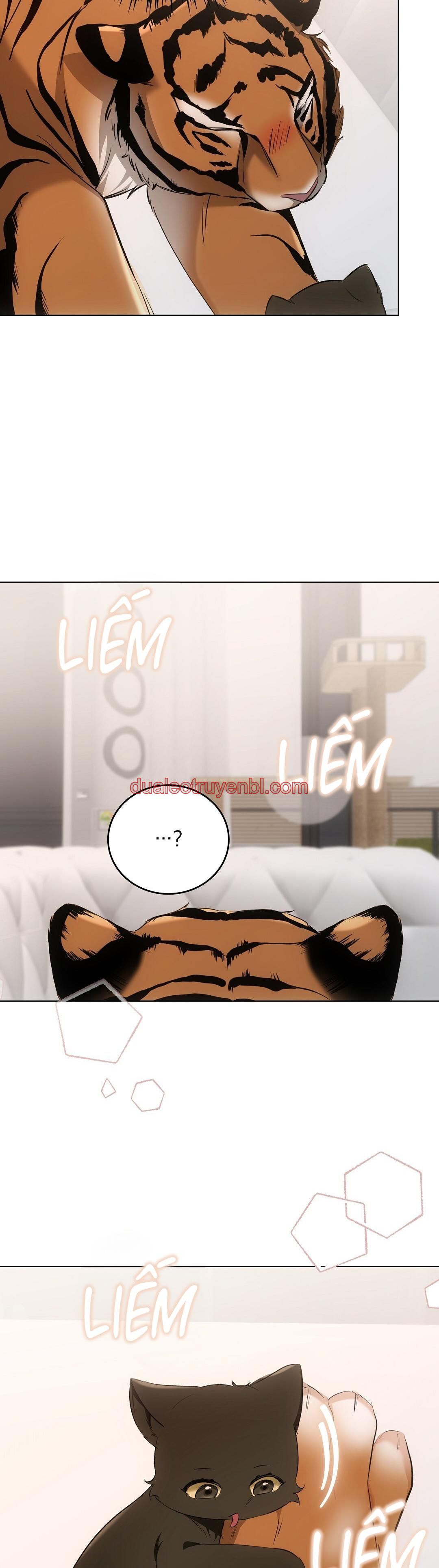 LIỆU PHÁP TRỊ LIỆU MÈO - Chapter 11_3 manhwa