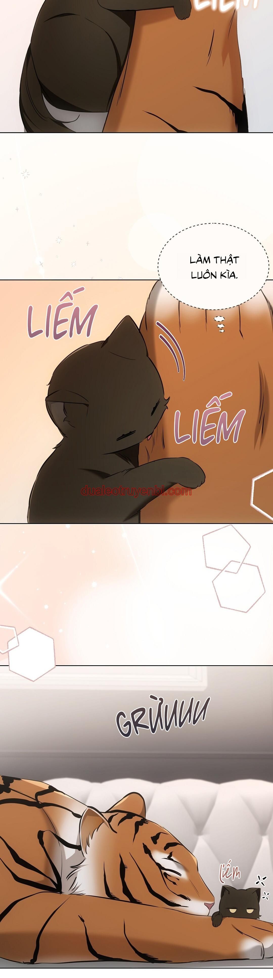 LIỆU PHÁP TRỊ LIỆU MÈO - Chapter 11_3 manhwa