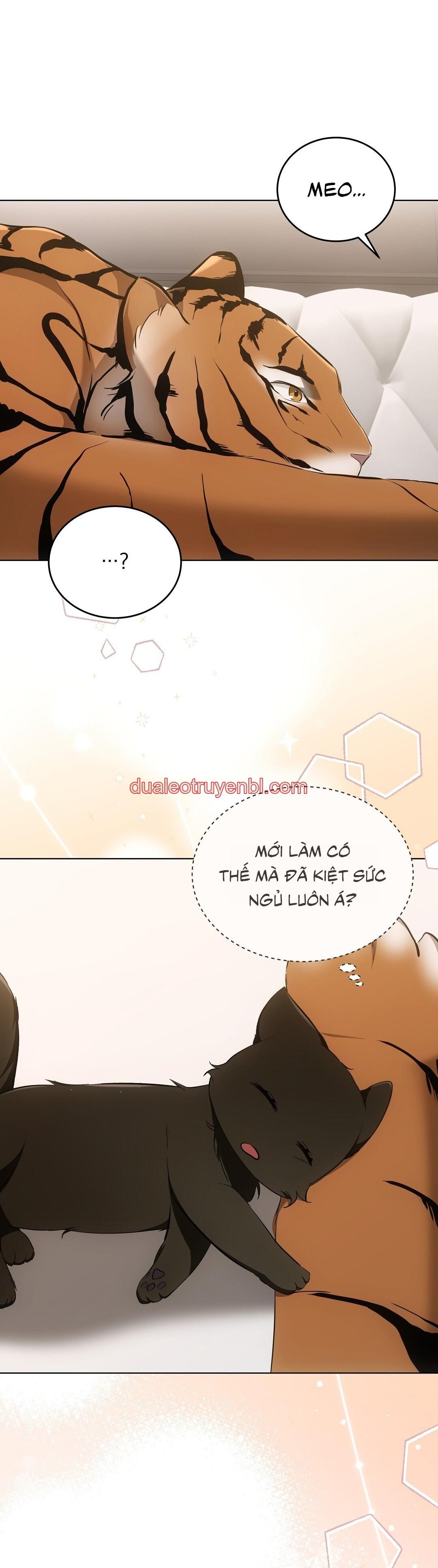 LIỆU PHÁP TRỊ LIỆU MÈO - Chapter 11_3 manhwa