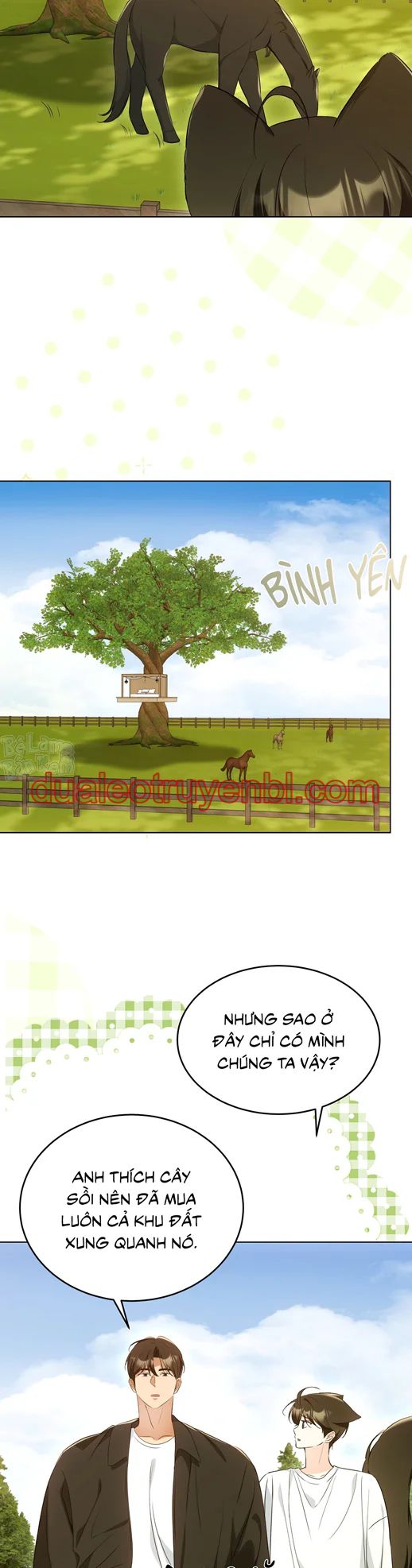 LIỆU PHÁP TRỊ LIỆU MÈO - Chapter 12 manhwa