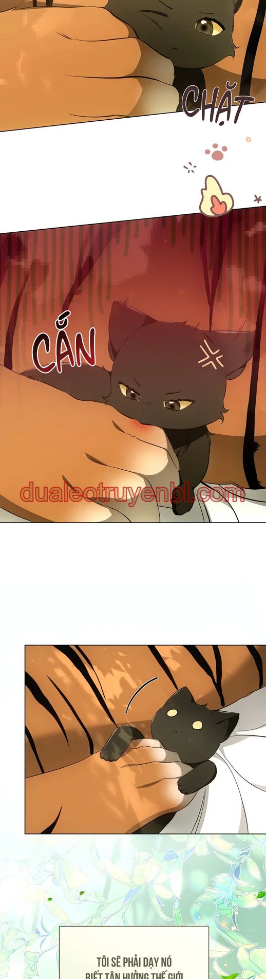 LIỆU PHÁP TRỊ LIỆU MÈO - Chapter 12_3 manhwa