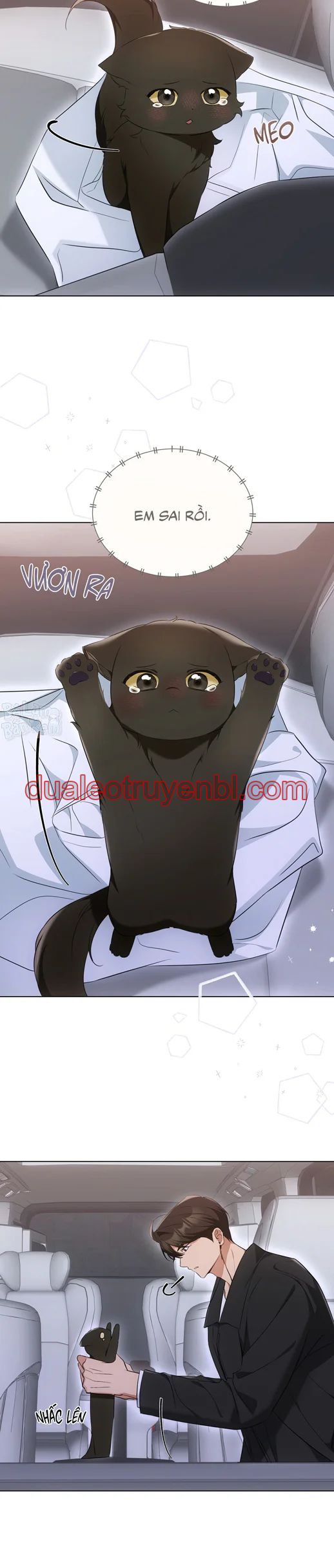 LIỆU PHÁP TRỊ LIỆU MÈO - Chapter 14 manhwa