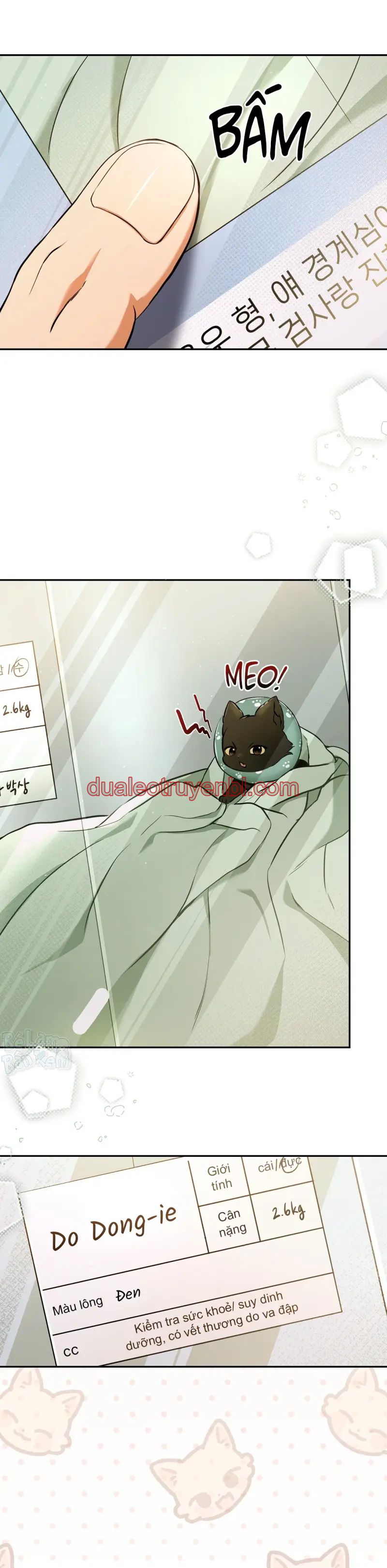 LIỆU PHÁP TRỊ LIỆU MÈO - Chapter 1_3 manhwa