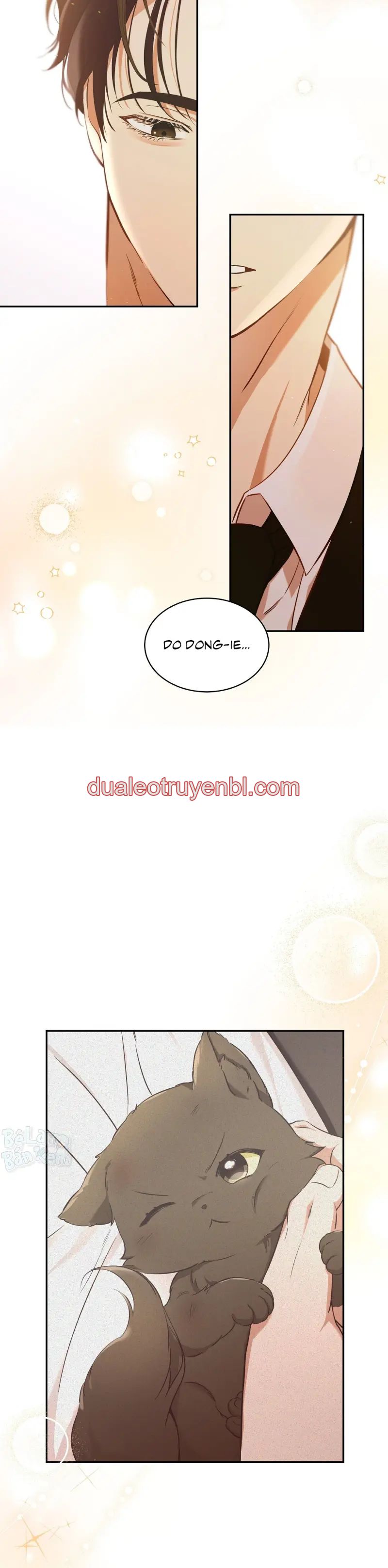 LIỆU PHÁP TRỊ LIỆU MÈO - Chapter 1_3 manhwa