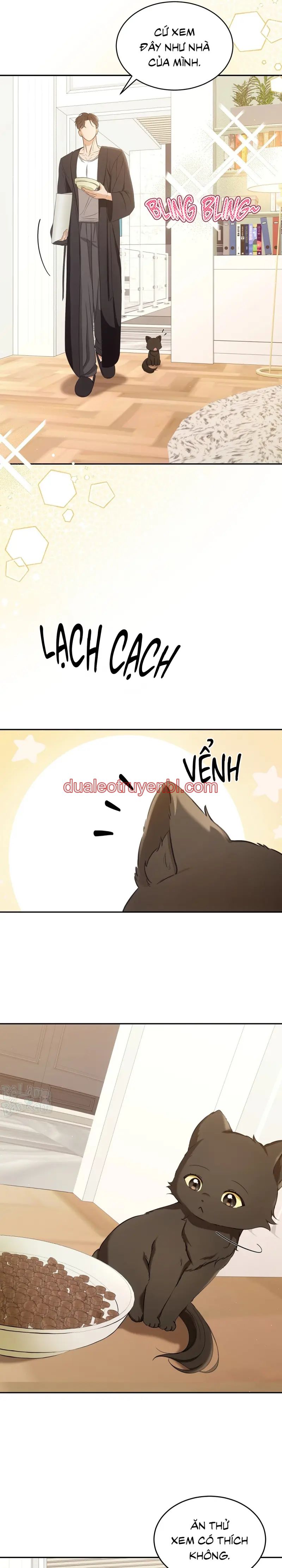 LIỆU PHÁP TRỊ LIỆU MÈO - Chapter 2 manhwa