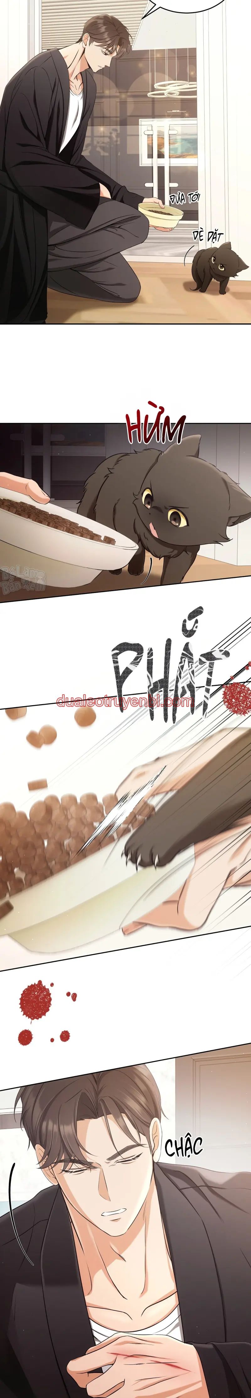 LIỆU PHÁP TRỊ LIỆU MÈO - Chapter 2 manhwa