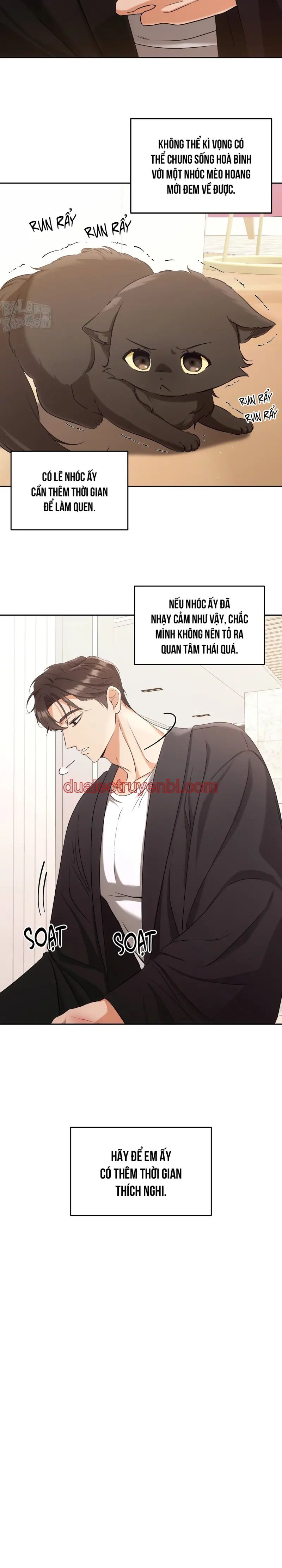 LIỆU PHÁP TRỊ LIỆU MÈO - Chapter 2 manhwa