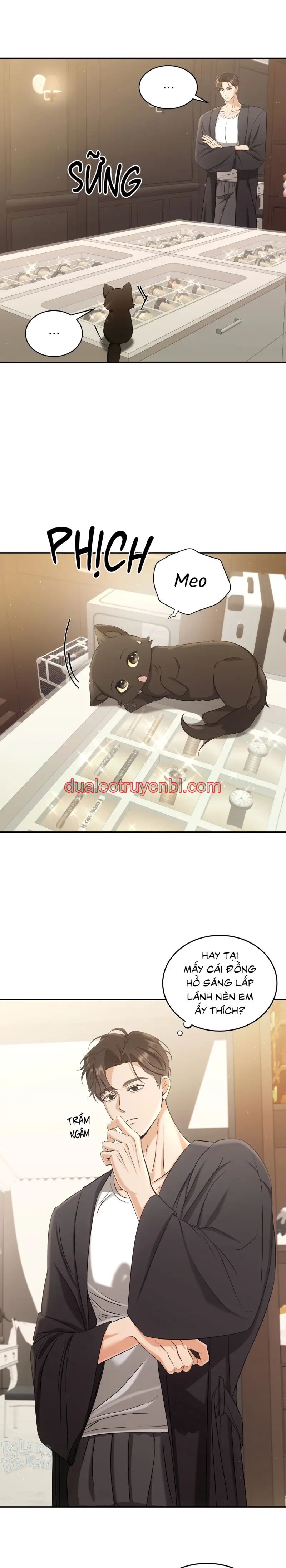 LIỆU PHÁP TRỊ LIỆU MÈO - Chapter 2 manhwa