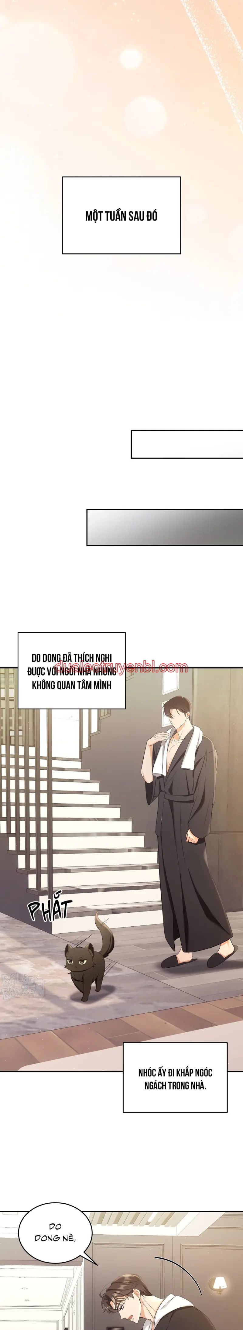 LIỆU PHÁP TRỊ LIỆU MÈO - Chapter 2 manhwa