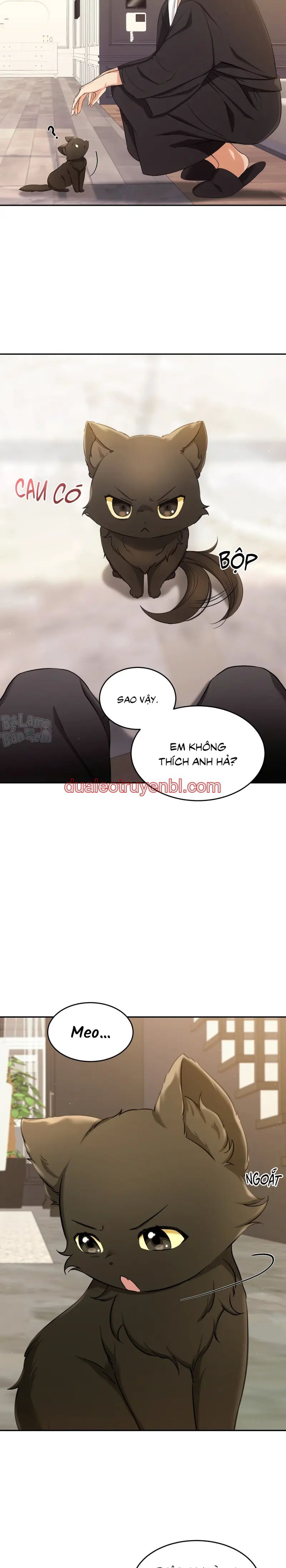 LIỆU PHÁP TRỊ LIỆU MÈO - Chapter 2 manhwa